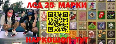 дмт Донской
