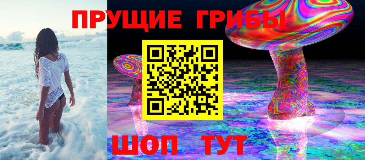 Златоуст  Псилоцибиновые грибы мухоморы  Вход с VPN 