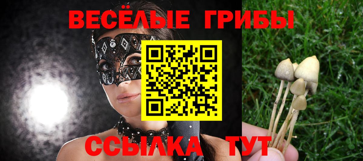Галлюциногенные грибы Psilocybine cubensis Златоуст